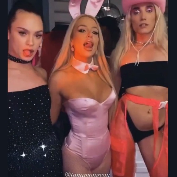 Pink Playboy Bunny Costume Halloween 2022